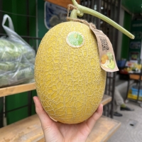 Dưa Lưới Hoàng Long Nita Melon